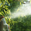 BLACK BAMBOO mist