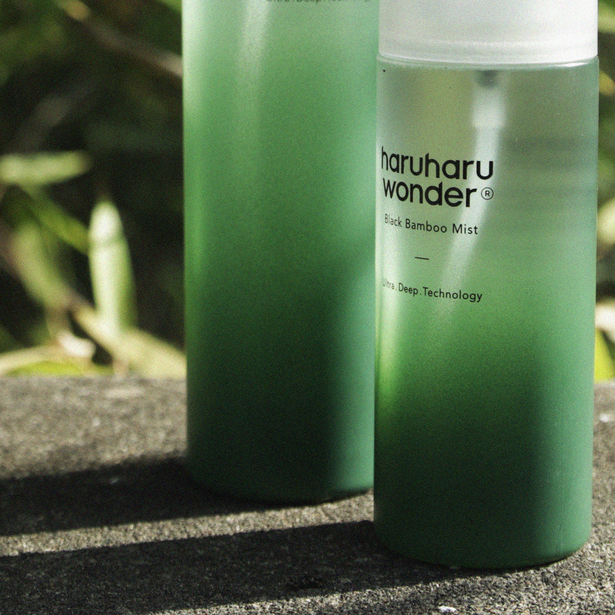 Mist – haruharu wonder