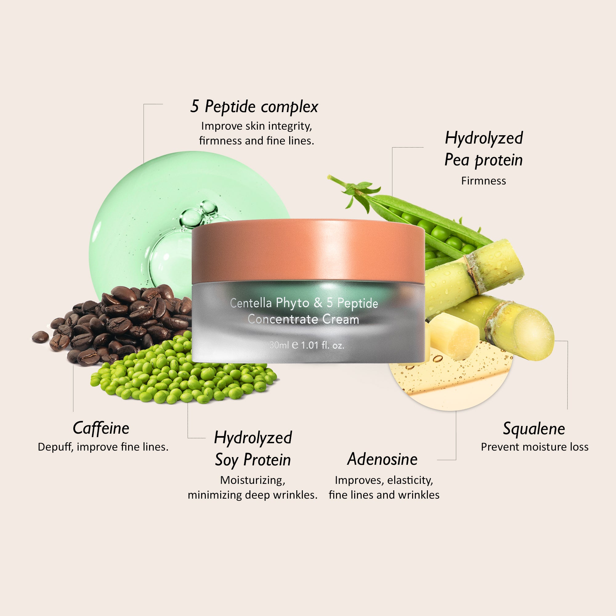 Phyto & 5 Peptide Concentrate Cream – haruharu wonder