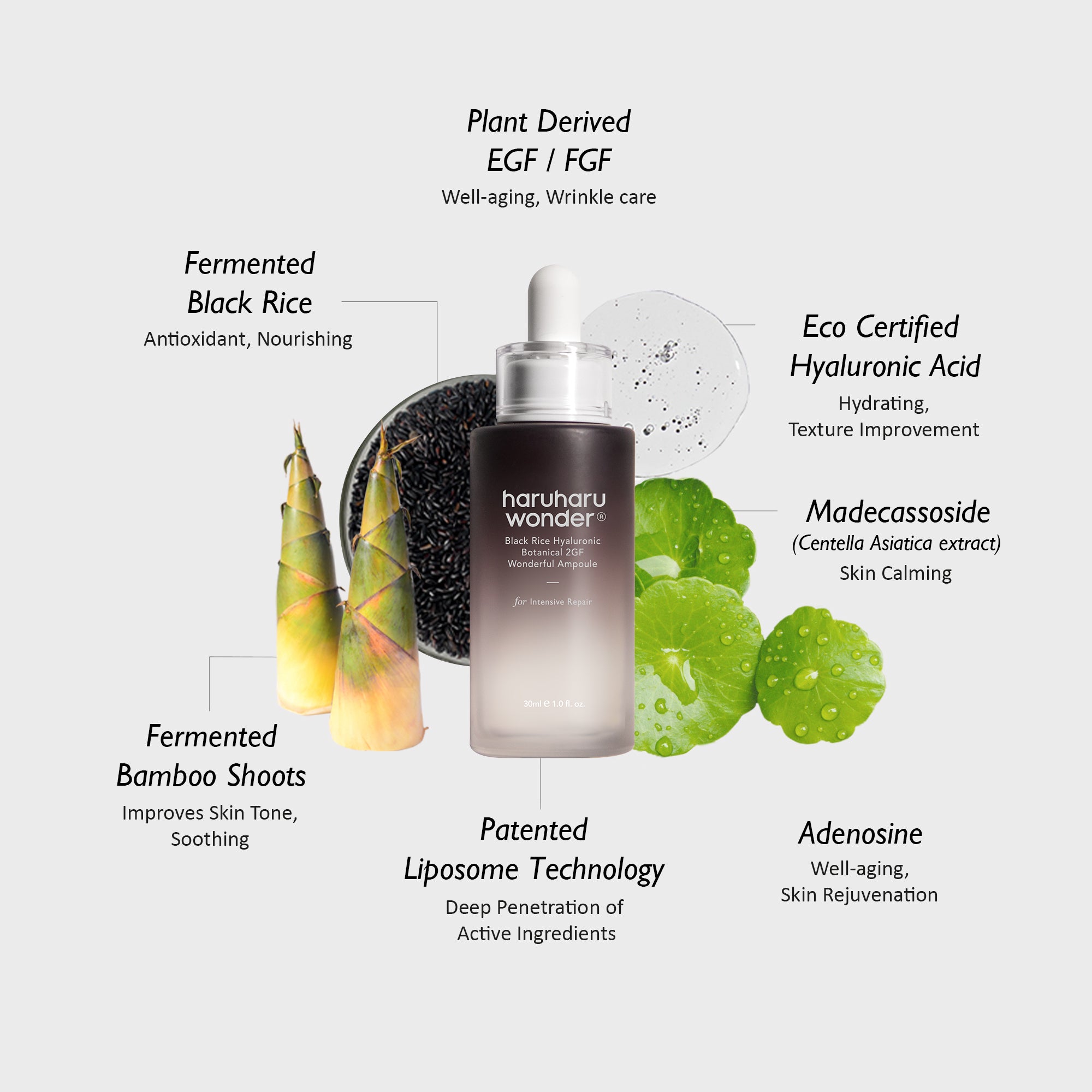 Botanical 2GF Wonderful Ampoule – haruharu wonder